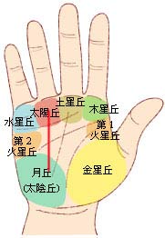ŵ