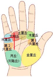 ŵ
