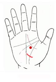 ŵ