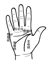 ʾĸ
