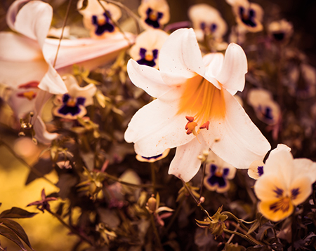 0812Фҵ֪