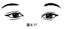 üë30-40׼