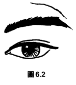 üë30-40׼