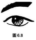 üë30-40׼