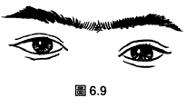 üë30-40׼
