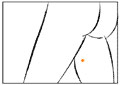 ϵ