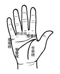 ࿴㻨ɧָ