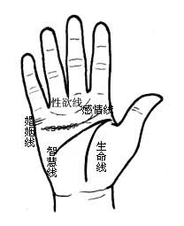 ࿴㻨ɧָ