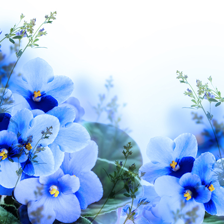 ˭ҵĻ
