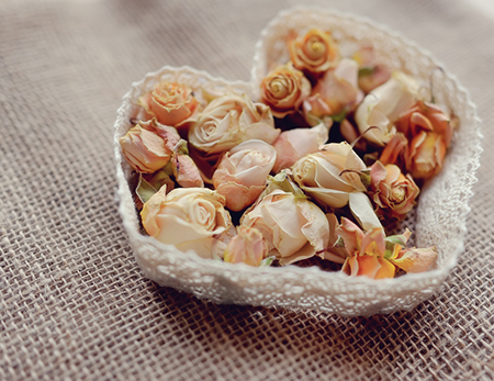 ʷݵʮ