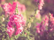 ר�⣺�����Ҳ���һ���