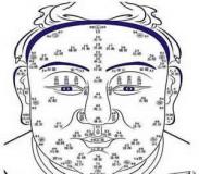 ��Ů������йص��沿����