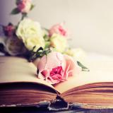 2022��3��6�ս��ղ���λ��ѯ