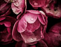 2022��3��19�ղ���λ��ѯ