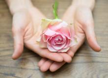 2022��4��17�ս��ղ���λ��ѯ