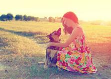 2022��4��21�ս��ղ���λ��ѯ