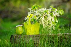 2023�������˵Ĳ���λ