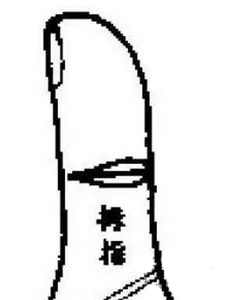 与君纹相对.