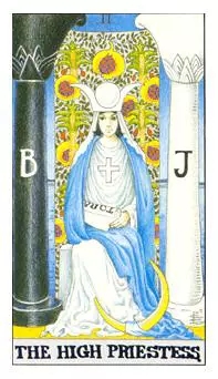 5 ˾
