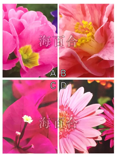 ʲôһˣ