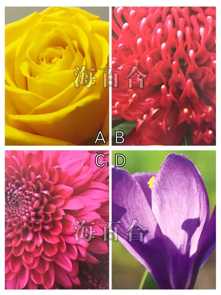 ˭ˣ