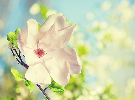 ��Щ�����˶����ܻ�ӭ