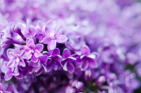 ���򲡻��ߵ��ճ�����