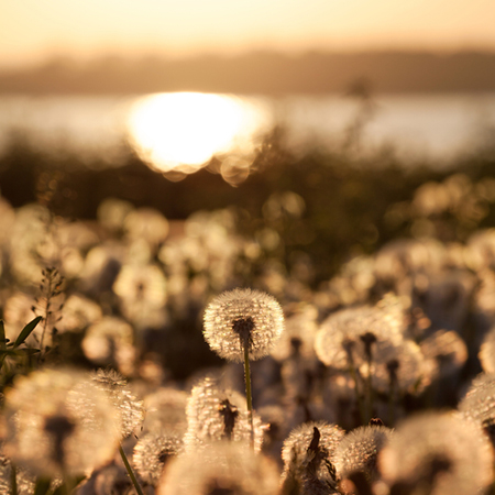 �ʺϸ�Ѫѹ���ߵ������˶�