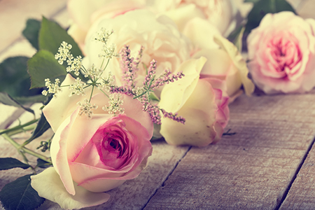 Victor塔罗今日星座运势(2017.4.11)