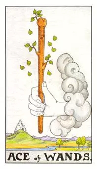 Ȩ