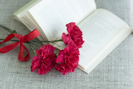 ִӸ