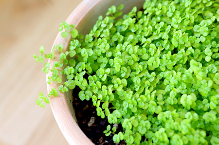 7�±�����ү��˶��������