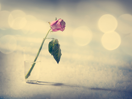 ��ɺ����ÿ����������2020.10.15