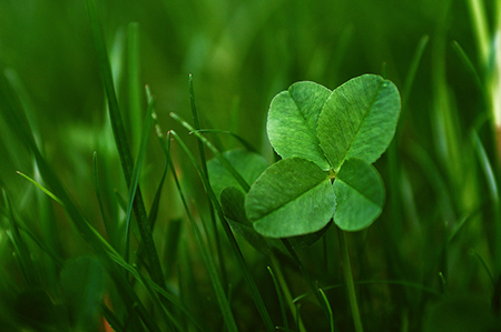 ��ɺ����ÿ����������2020.12.28