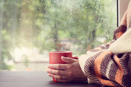 ˫����2021���ĸ��²������