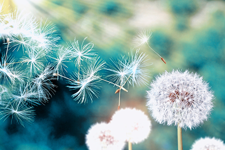 ������2021����Ҫע��ʲô