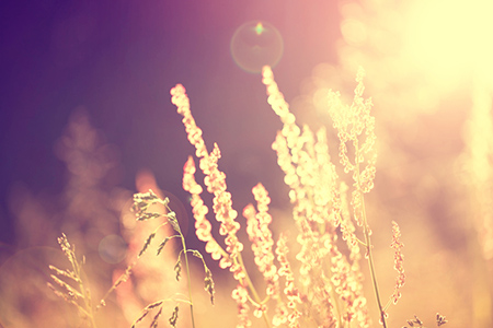 2022���ţ��ˮ������ʲôʱ��