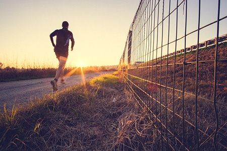 2022���з��������˭