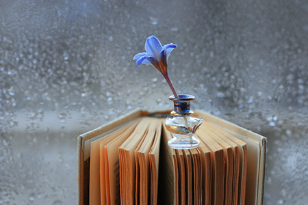 ϲ��λ��ѯ 2021��10��14��ϲ�����ĸ���λ