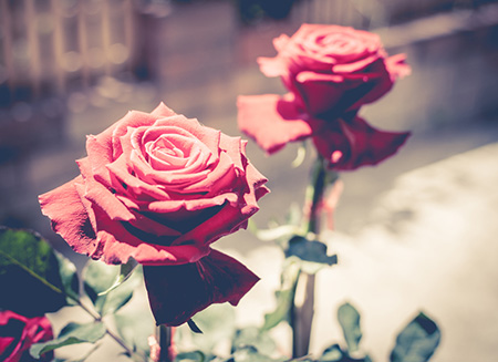 ������2022��1������