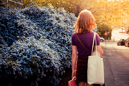 С�����9���ϰ��½�ţ������