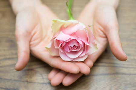 ������2021��9�½�ţ������