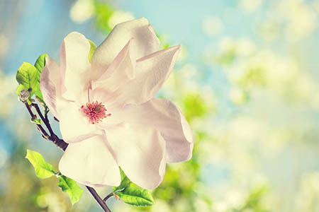 ������2023��11������