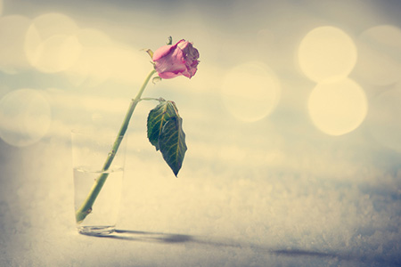 ��Ů��2023��6������