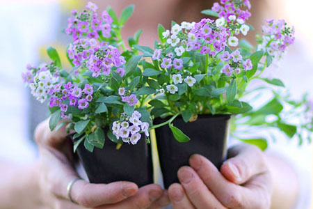 2023�����������²������