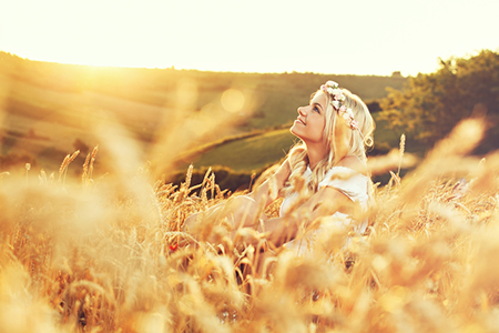 ʮ�������Ĺ������,���������