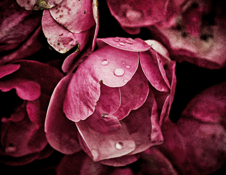 ���˳���,�²�,����