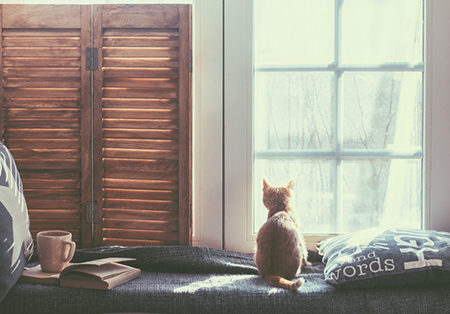 ��ǰ�־�֢,��ο˷���ǰ�־�֢,���½��