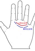 手相看婚姻,手相 婚姻,婚姻