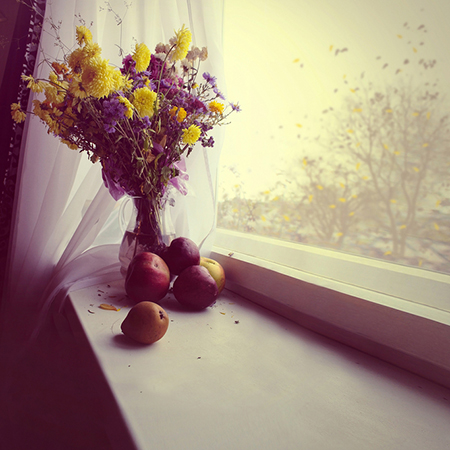 ʮФ2013һ˳